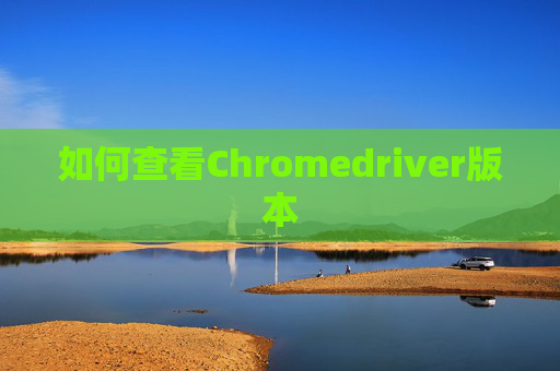 如何查看Chromedriver版本