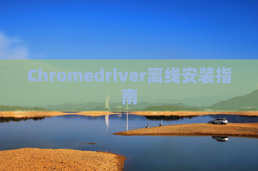 Chromedriver离线安装指南